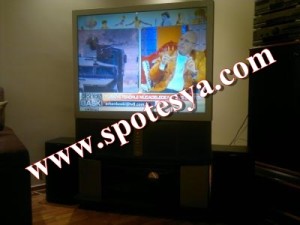 Temiz uygun fiyatlı çıkma kolon kabini HOPARLÖR SES VE MÜZİK ALETLERİ 20 2. el TV ve yemek takımı