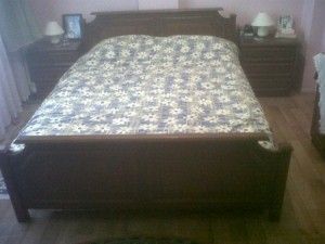 IMG 20120129 00012