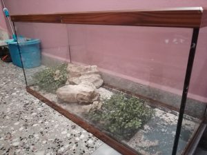 2. el TV ve yemek takımı 1 2.el 160 litrelik akvaryum büyük boy 1 metre