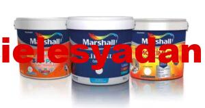 Spot marshall boya! Marshall Silikonlu Boya 20 kg fiyatı